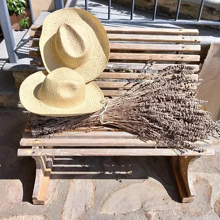 Gospodarstwo agroturystyczne Barbarossa *