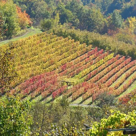 Barbarossa * Dogliani