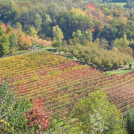 Barbarossa Gospodarstwo agroturystyczne