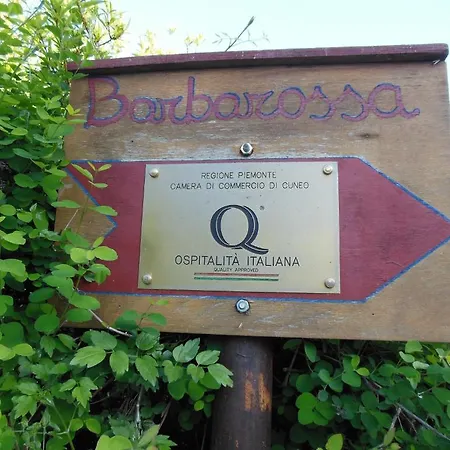 Barbarossa ドリアーニ