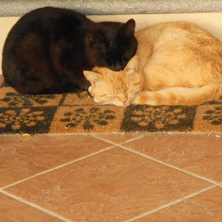 Gospodarstwo agroturystyczne Barbarossa Dogliani