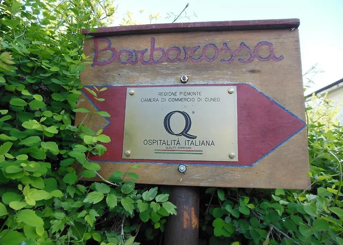 Barbarossa Dogliani